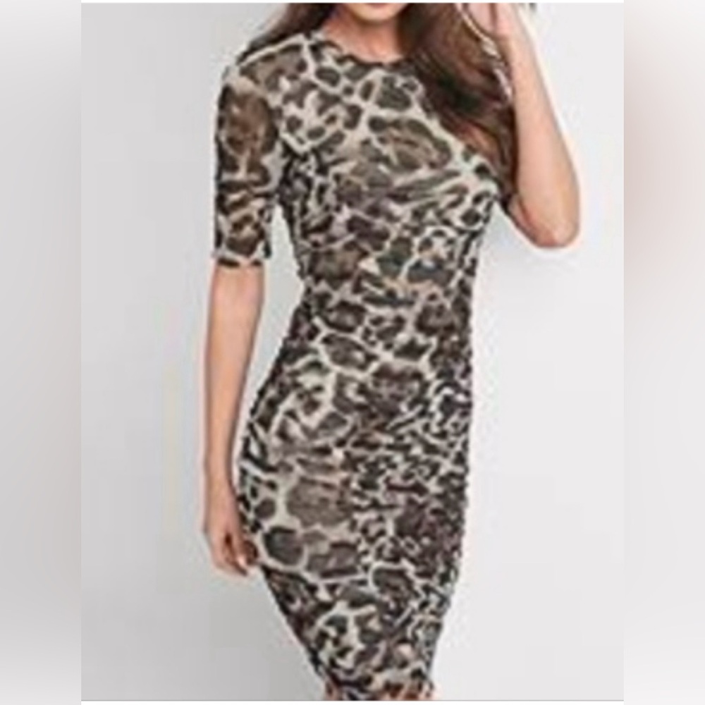 NWOT Venus small 6 M dress midi sheer net rouch sides lined sexy Bodycon